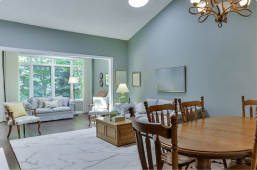 Living room and dining room details